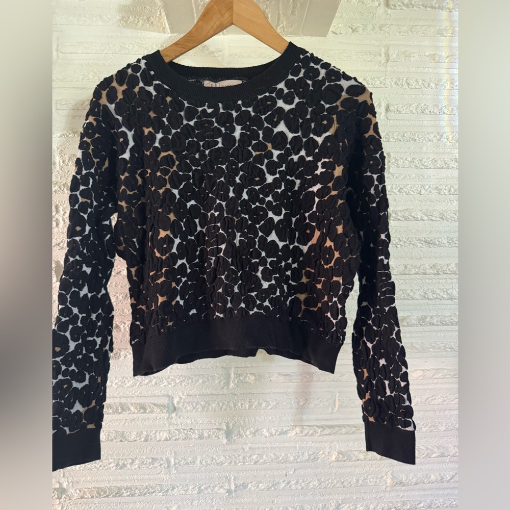 Philosophy sweater